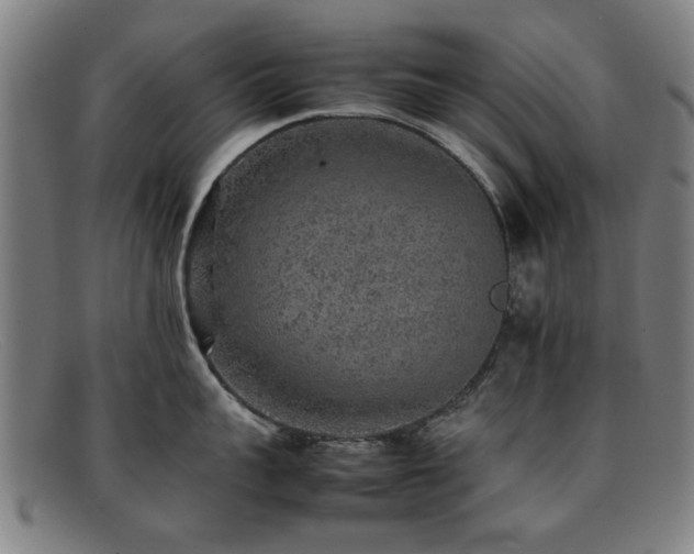 X0000092100959200709121542