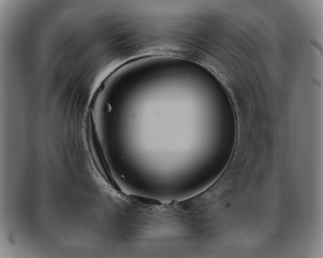 X0000092100960200709121542