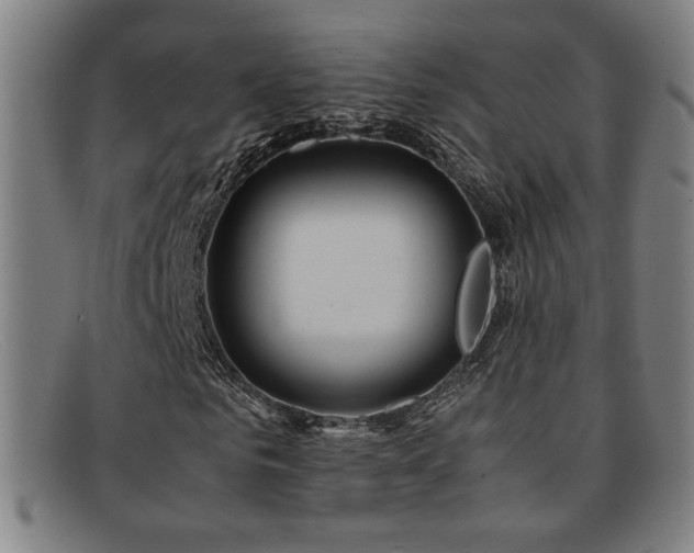 X0000092100961200709121541