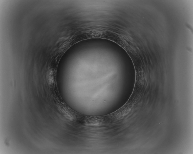 X0000092100962200709121541