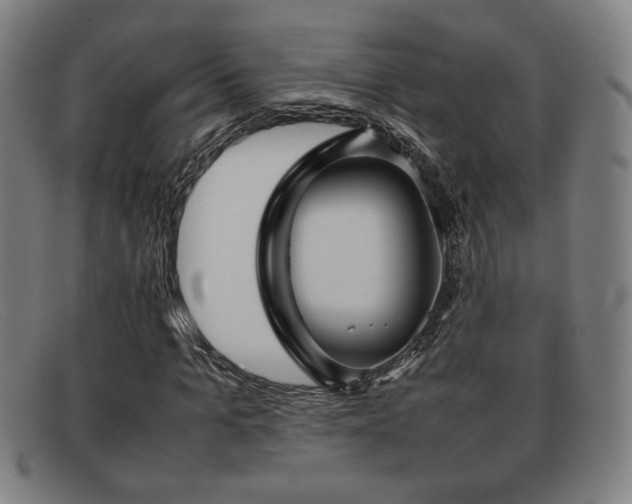 X0000092100965200709121541