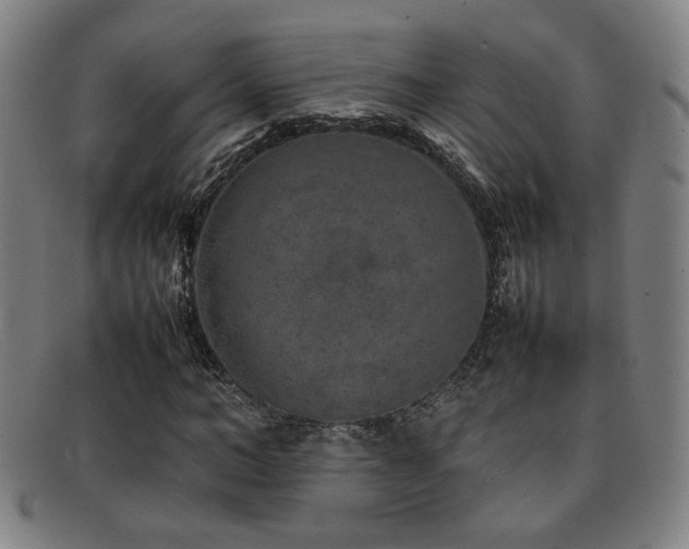 X0000092100966200709121541