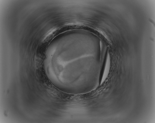 X0000092100967200709121541