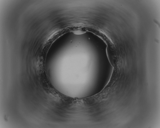 X0000092100968200709121541