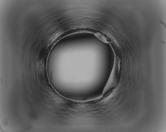 X0000092100969200709121541