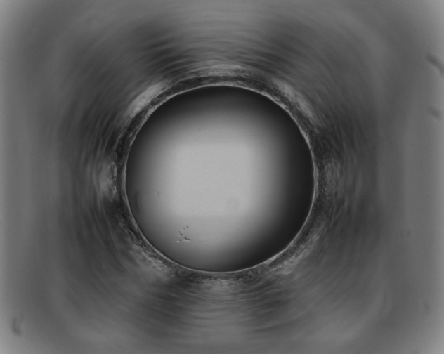 X0000092100970200709121541