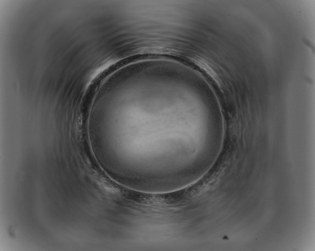 X0000092100971200709121541