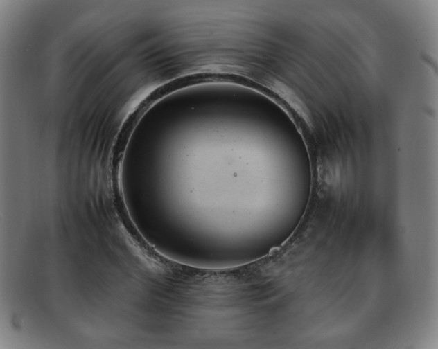 X0000092100972200709121541