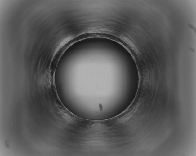 X0000092100974200709121541