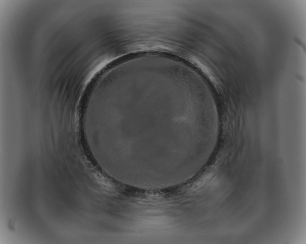X0000092100975200709121541