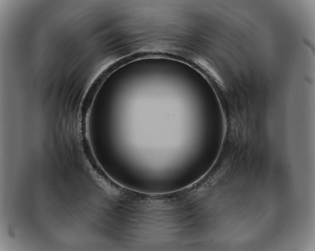 X0000092100976200709121541