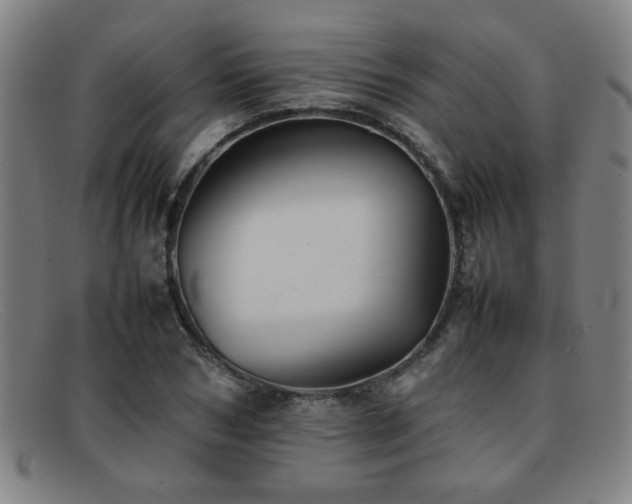 X0000092100978200709121541