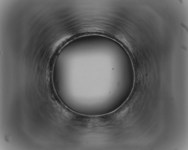X0000092100979200709121541