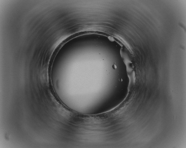 X0000092100980200709121541