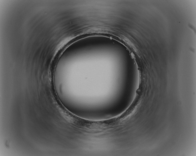 X0000092100981200709121541