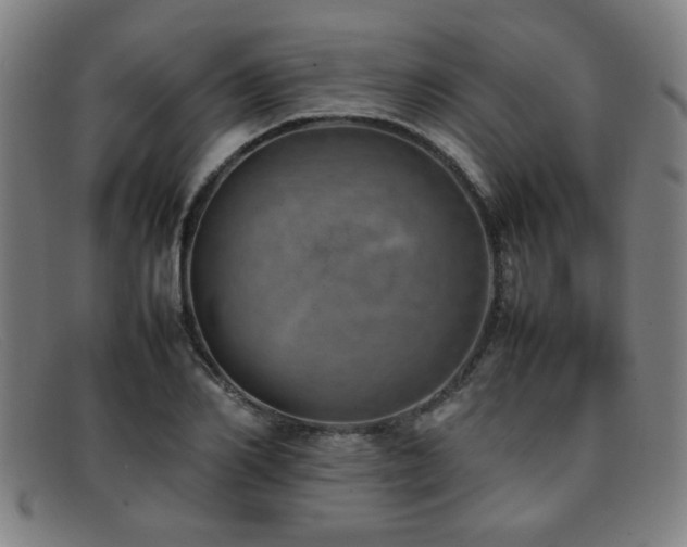 X0000092100982200709121541
