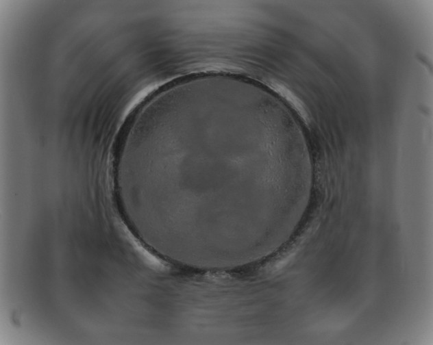 X0000092100983200709121541
