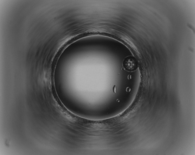 X0000092100984200709121541