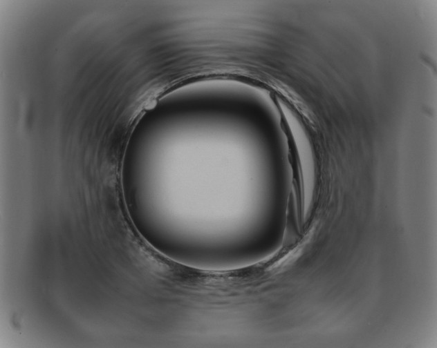 X0000092100985200709121541