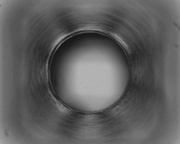 X0000092100988200709121541