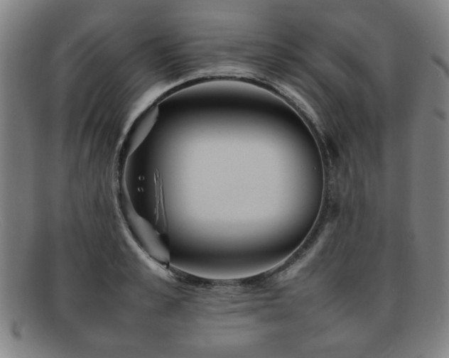 X0000092100989200709121541