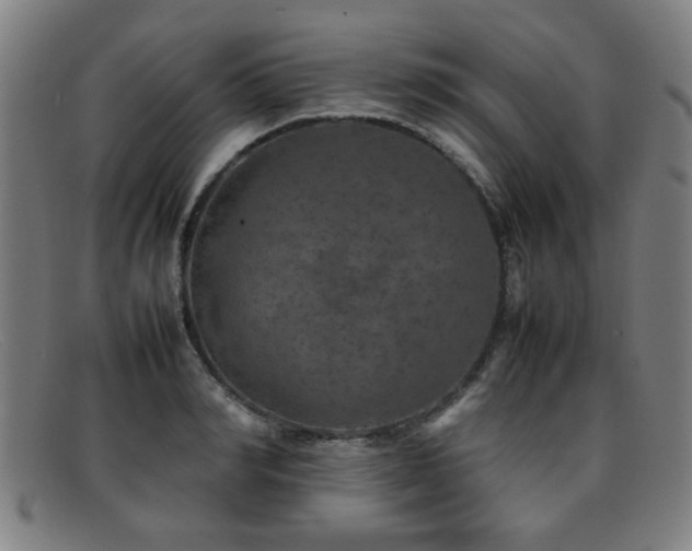 X0000092100990200709121541