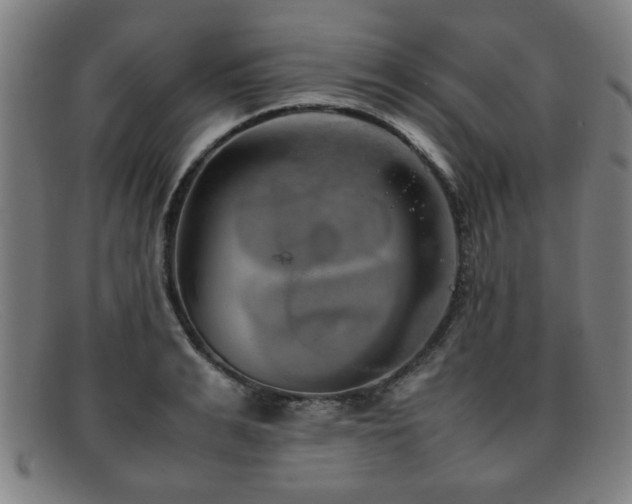 X0000092100991200709121541
