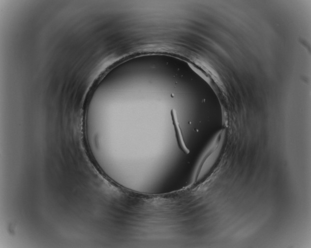 X0000092100992200709121541