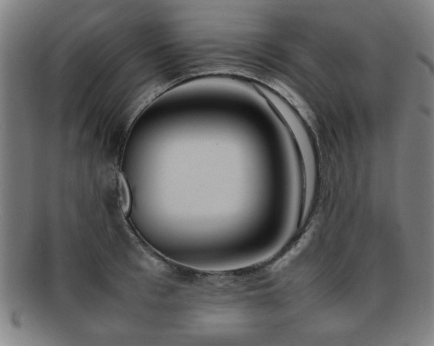 X0000092100993200709121541