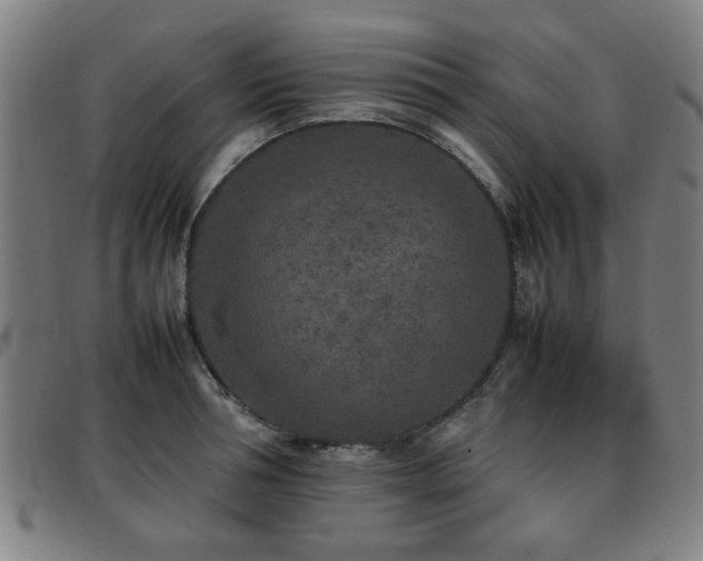 X0000092100994200709121541