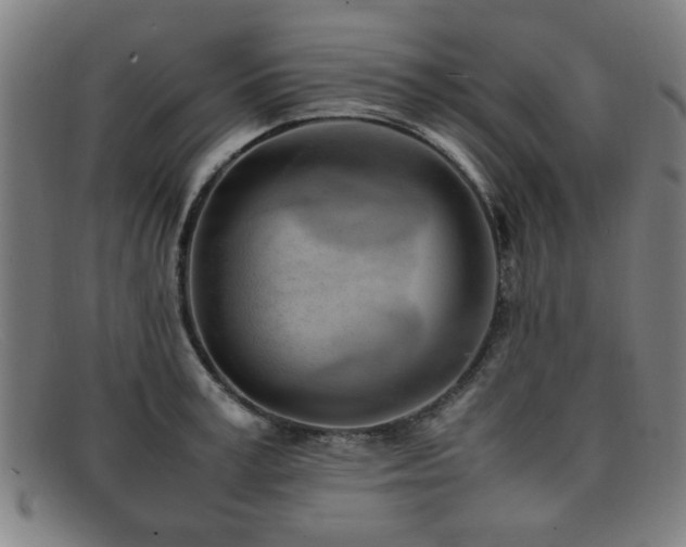 X0000092100995200709121541