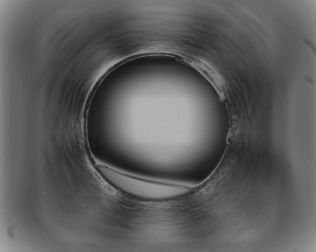 X0000092100996200709121541