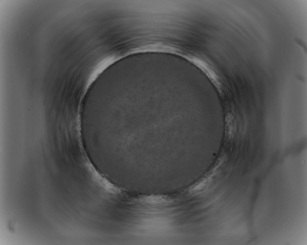 X0000092100998200709121541