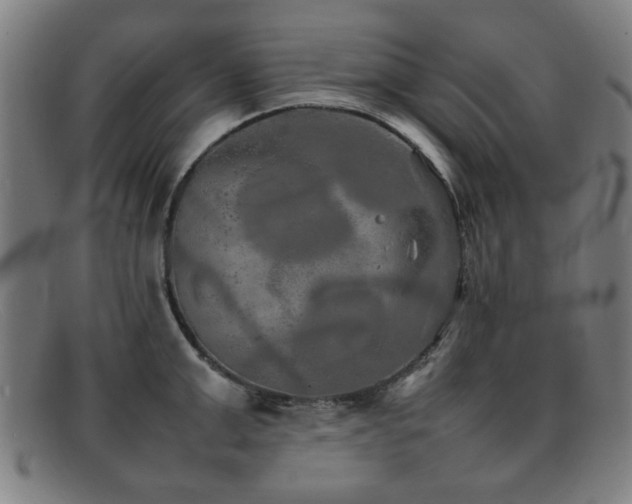 X0000092100999200709121541