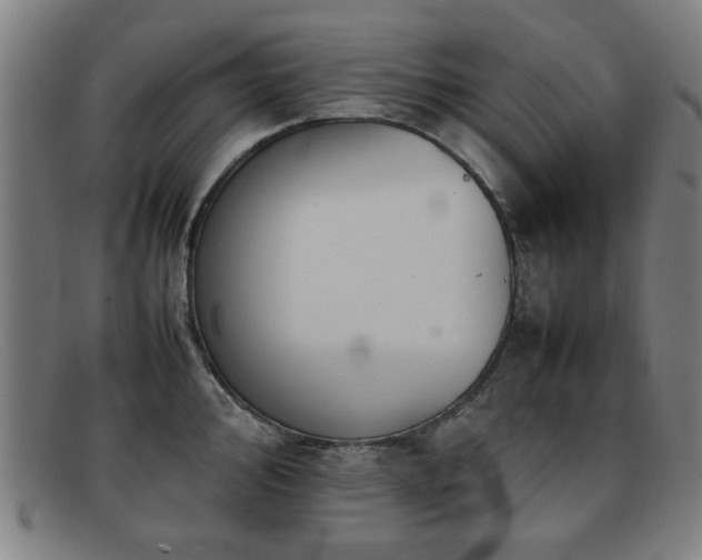 X0000092101000200709121541