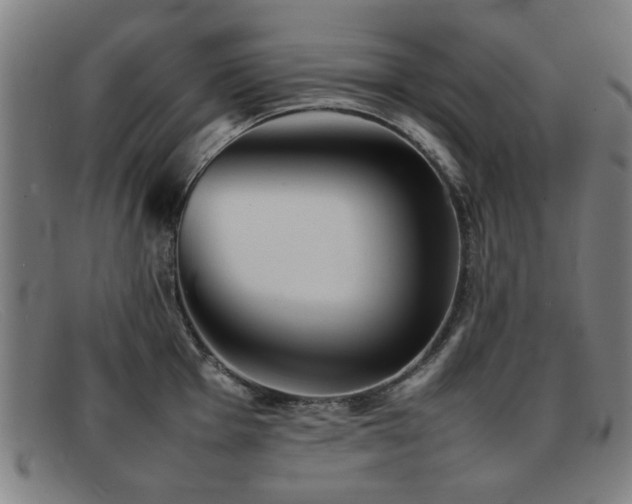 X0000092101001200709121541