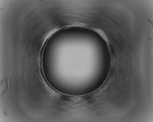 X0000092101003200709121541