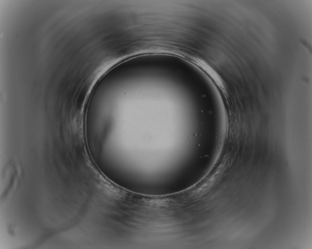 X0000092101004200709121541