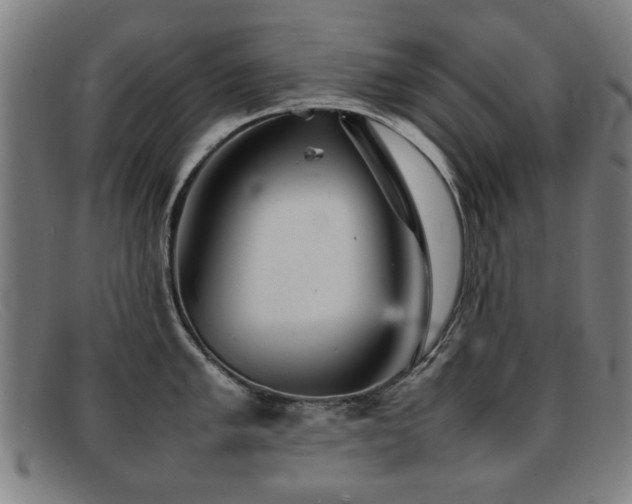 X0000092101005200709121541