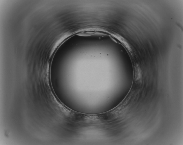 X0000092101006200709121541