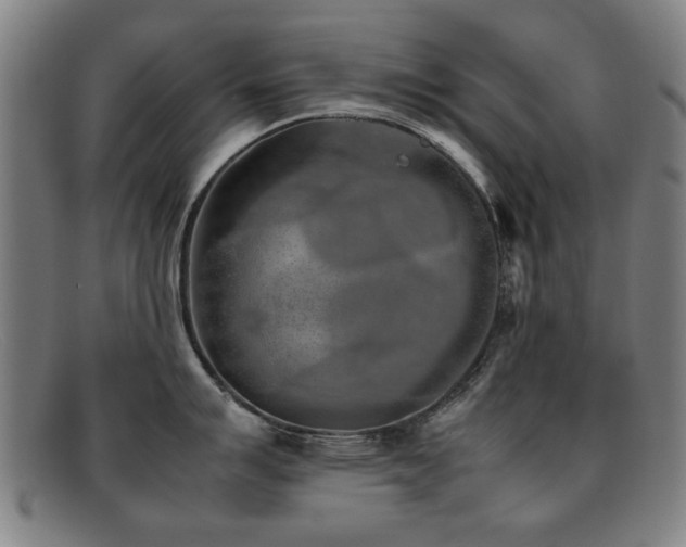 X0000092101007200709121541