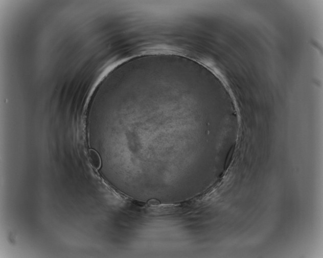 X0000092101008200709121541