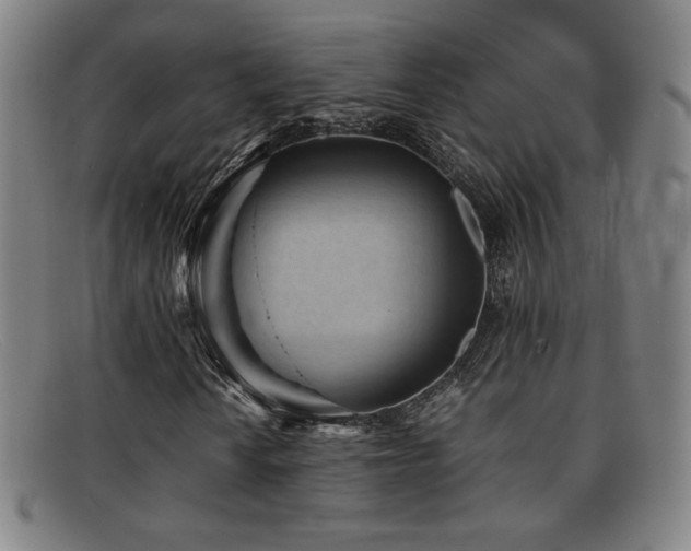 X0000092101010200709121540