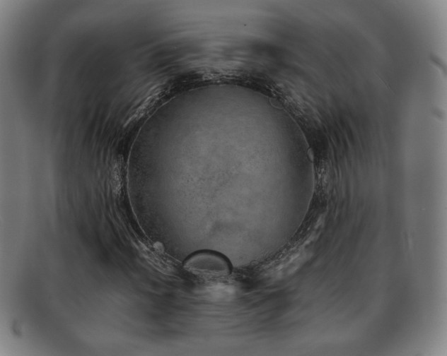 X0000092101012200709121540