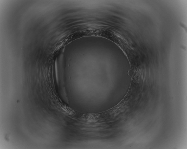 X0000092101013200709121540