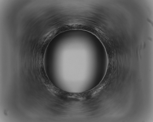 X0000092101014200709121540