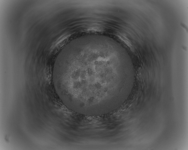 X0000092101015200709121540