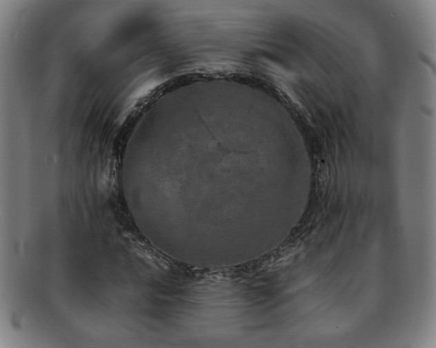 X0000092101016200709121540
