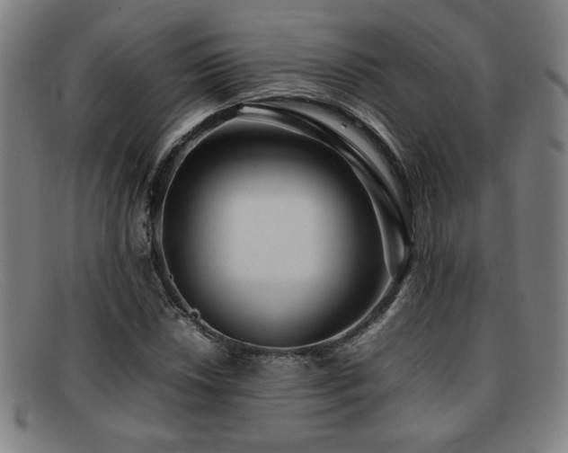 X0000092101018200709121540