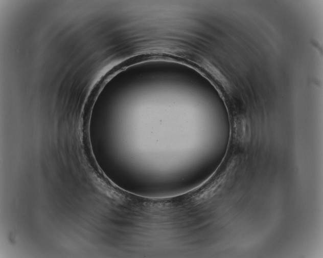 X0000092101020200709121540
